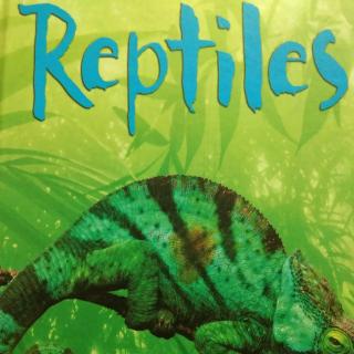 Reptiles