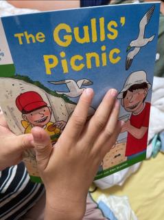 the gull's picnic