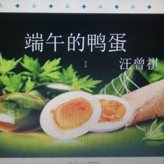 《端午的鸭蛋》汪曾祺  筱薇诵