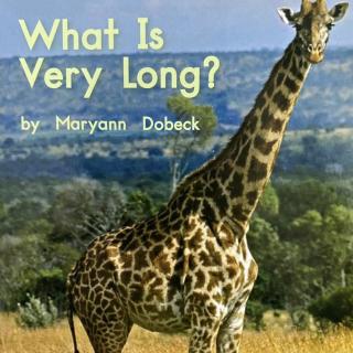 海尼曼 LevelC Book53 - What is Very Long?