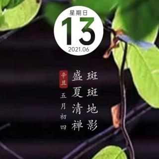 喀纳斯早安心语6.13