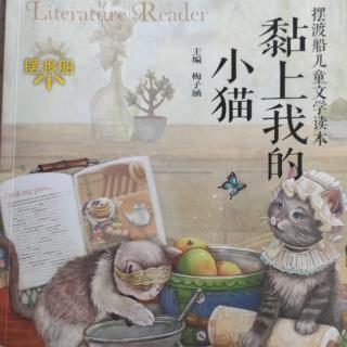 黏上我的小猫