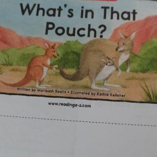 What's in Thst Pouch?