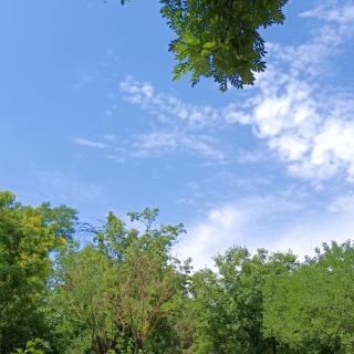 国芝朗诵《端午，雨落》风起云舒