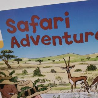 safariAdventure