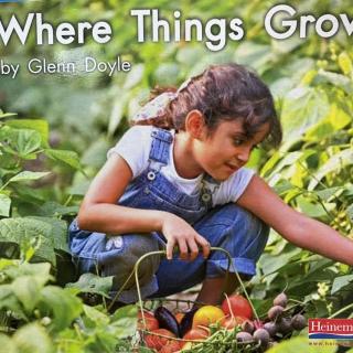 海尼曼 LeveIC Book9 - Where Things Grow