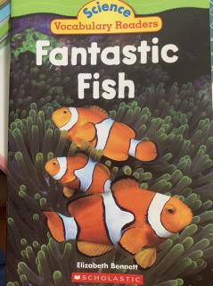 Fantastic Fish