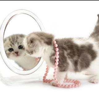 许绛珊+镜子里的小猫（来自FM182515720）
