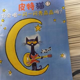 皮特猫17—你会唱一闪一闪亮晶晶吗？