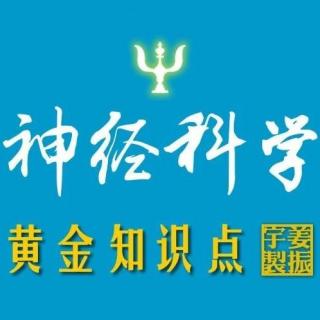 姜振宇【神经科学黄金知识点】第二课：外周神经系统