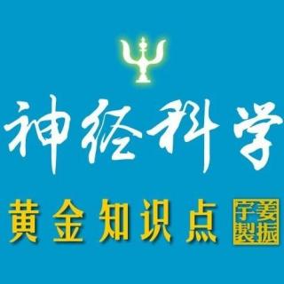 姜振宇【神经科学黄金知识点】第三课：大脑的研究分类