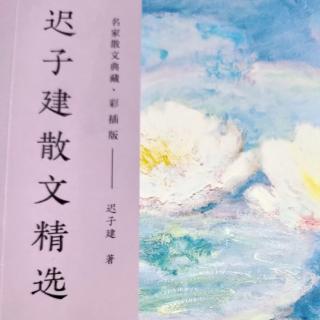 《带笤帚的小鸟》作者:迟子建