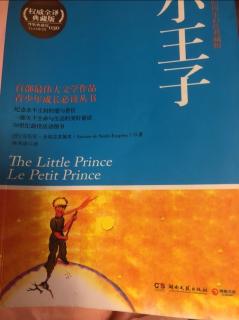 小王子🤴 The Little Prince