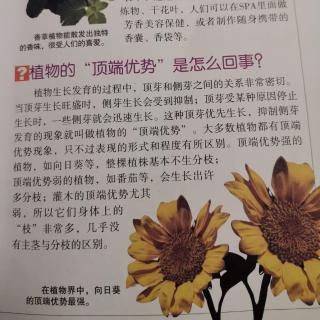 十万个为什么—植物猎奇—24—28个问题