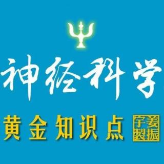 姜振宇【神經(jīng)科學(xué)黃金知識點】第八課：聯(lián)合皮層