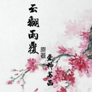 《云翻雨覆》13