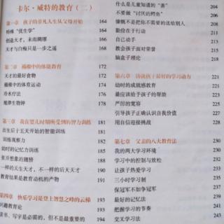 7.脑盒子理论