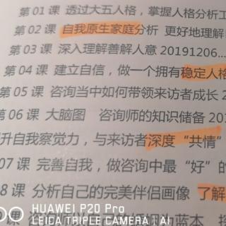 11课如何用善解人意的工具处理童年创伤上集