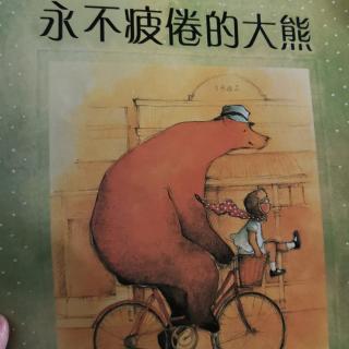 永不疲倦的大熊🐻