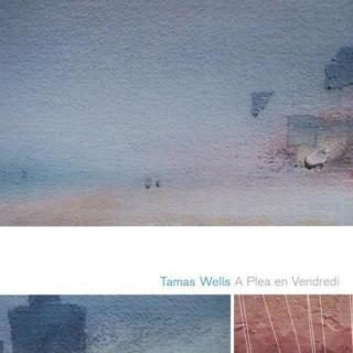 Valder Fields(仙境之桥)-Tamas Wells