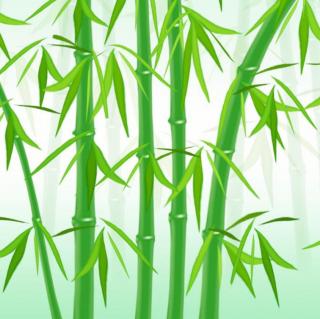 6.17】在线收听_雨竹9391_荔枝