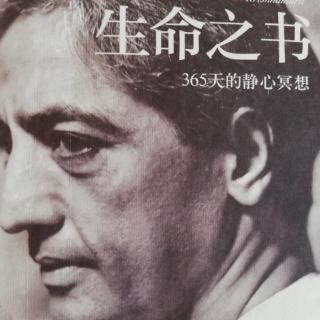 《生命之书》倾听内在的声音 7/365天