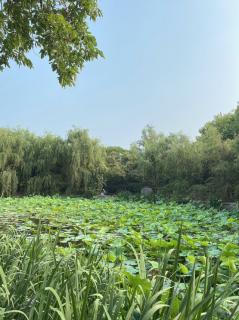 零极限的美好生活-如何与物品植物土地相处