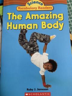 The Amazing Human Body