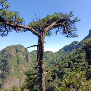 心学大师王阳明的人生智慧6