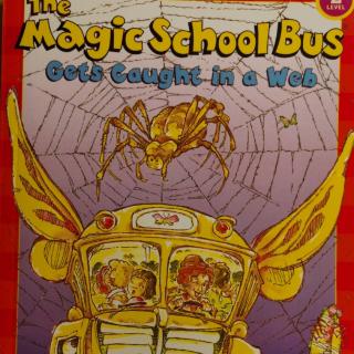 The magic school bus gets caught in a web