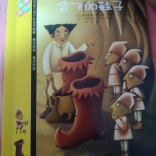 会飞的鞋子