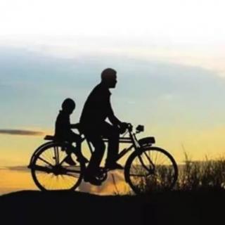 【晓生读人生】父亲的自行车