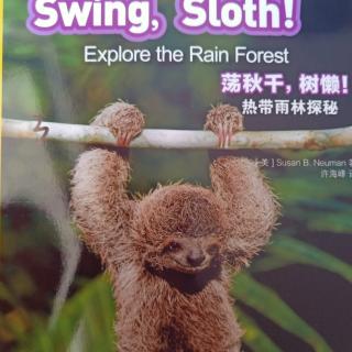 Swing    Sloth