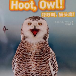 Hoot, owl