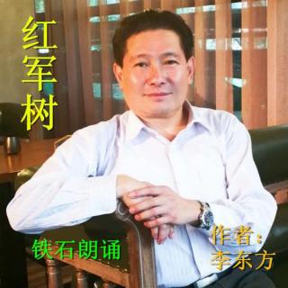 《红军树》作者：李东方