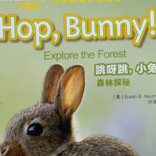 hop   bunny