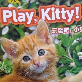 play   Kitty