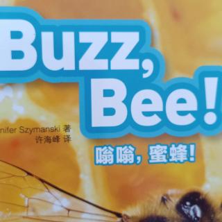 buzz    bee
