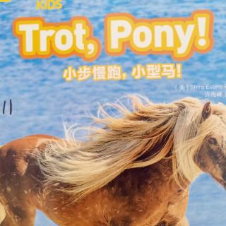 trot  pony