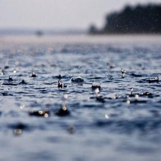 雨｜笔墨尽苍桑  洁静诵读