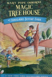 Magic Tree House  section 1  6