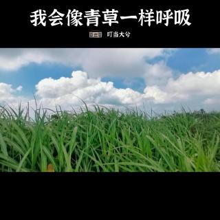 我会像青草一样呼吸