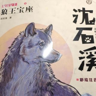 狼王宝座沈石溪
