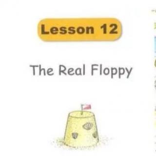 The Real Floppy