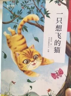 《一只想飞的猫》4