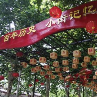 纪念抗议人民站取得伟大胜利一周年之三  文 李进生读彩霞