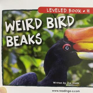 RAZ LevelH 903 - Weird Bird Beaks