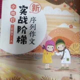 《新实战阶梯》序列作文三篇