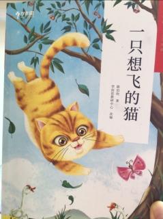 《一只想飞的猫》5