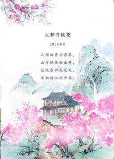 《大林寺桃花》白居易 背诵者茗艾